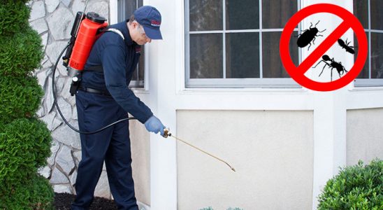 Arifiye Kene İlaçlama böcek ilaçlama ve haşere kontrolü — ilaclama-tr.com